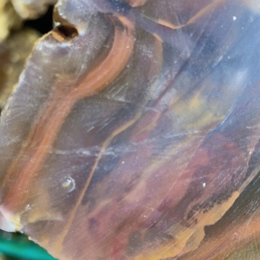 【闪购商品】定制玛瑙私人订制 不退不换未镶嵌l*p