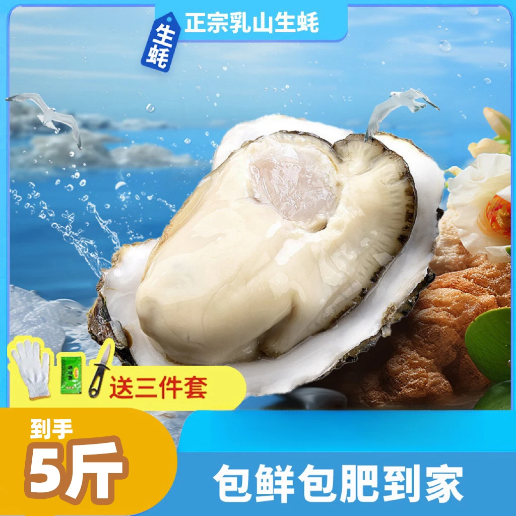 【到手5斤】[蚝王10斤/5斤】正宗乳山带壳生蚝鲜活原产地精品生蚝