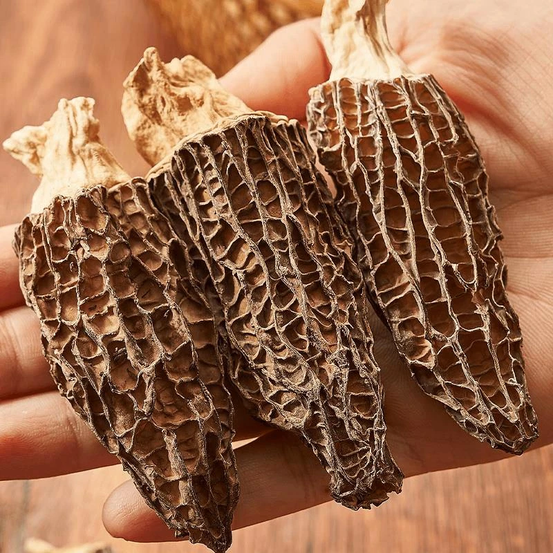 瑞利来羊肚菌干货虫草花鸡汤煲汤菌菇营养食材0