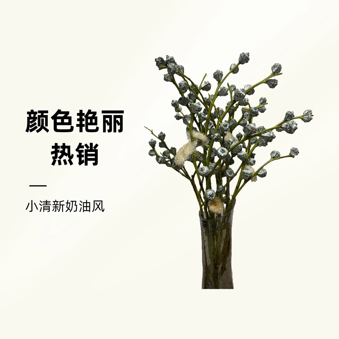 【尤加利果-新果】小清新奶油风 颜色艳丽干插干放可水培