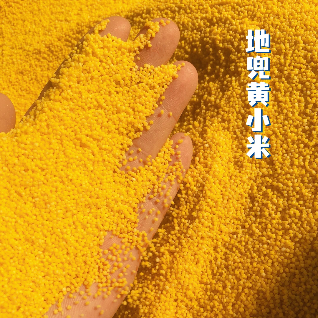 正宗地兜原产优质甄选黄小米新米农家营养粮食速食香糯醇厚小米粥