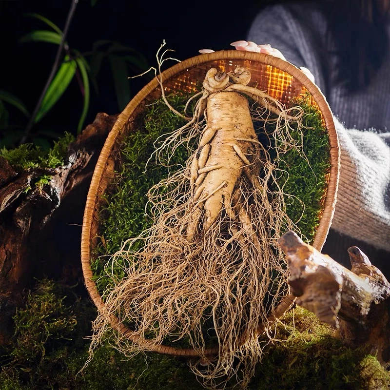 长白山新鲜人参大人参单支250g送礼泡酒（清洗不支持退货）产地发货