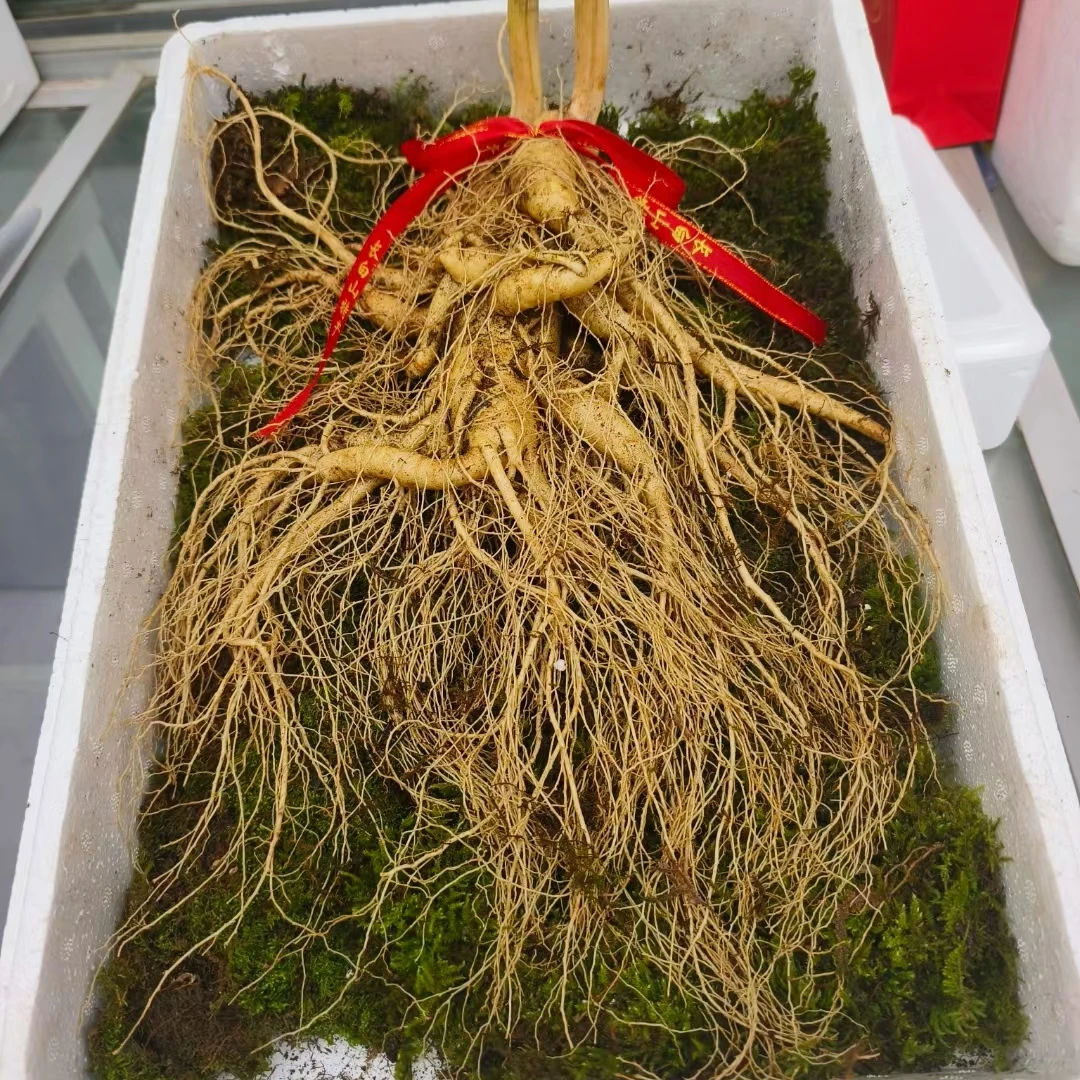 长白山鲜人参单支人参残参（残参不支持退货）一改价链接