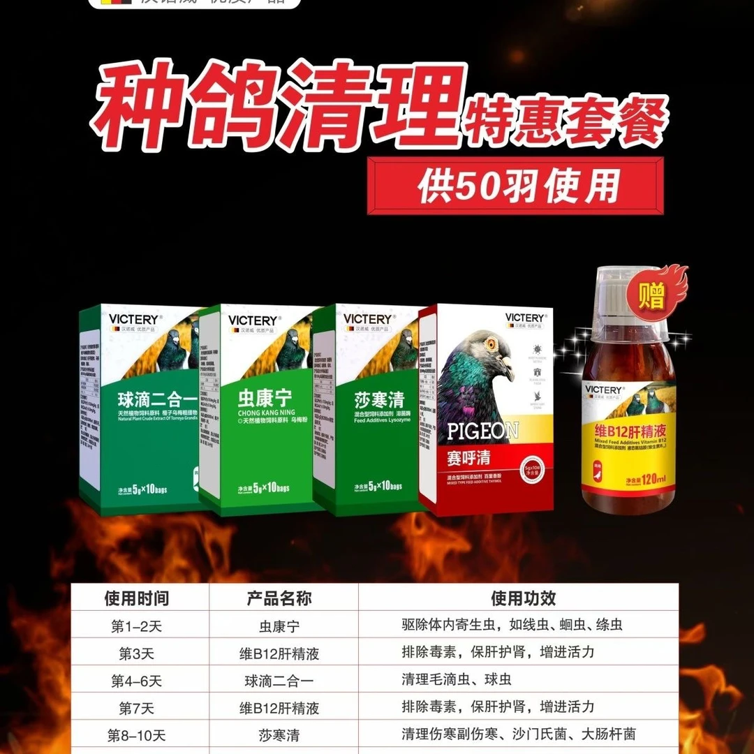 汉诺威种鸽调理套餐