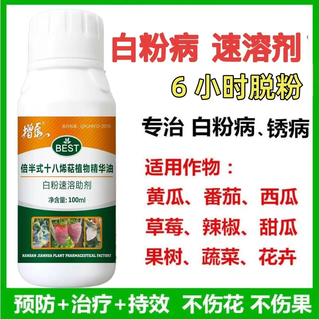 增虎速溶助剂草莓白粉病黄瓜西葫芦西瓜白粉病不伤作物