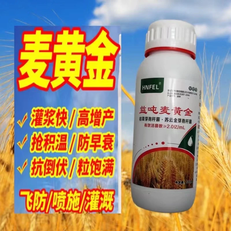 麦黄金增产叶面肥