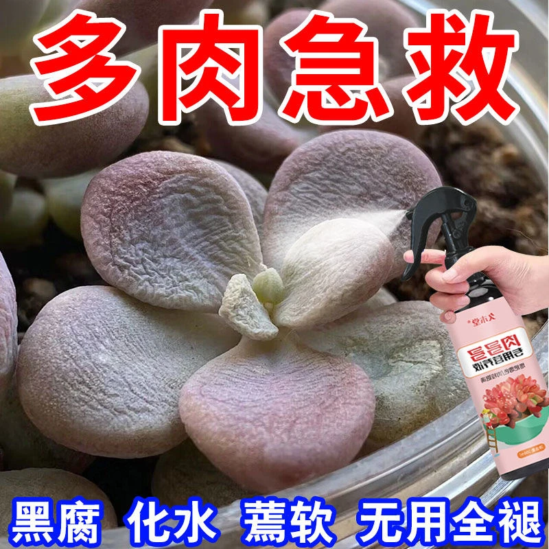 一喷拯救】多肉营养液肉多多营养液蔫软黑腐化水增肥增色生根爆芽