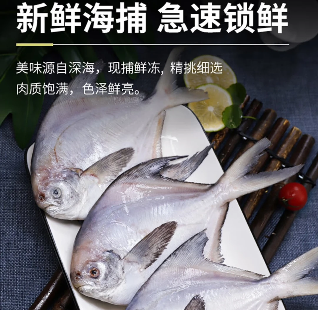 【大个头】黄海野生海捕银鲳鱼  大号肉厚刺少  一包/5条【新鲜单冻】