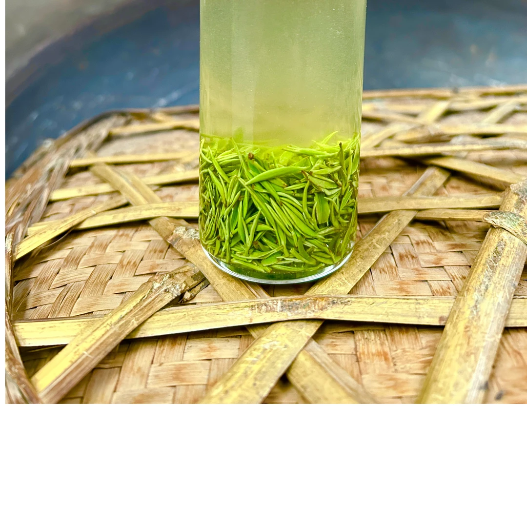 (3号）信阳毛尖   批发原产地雨前小芽250g
