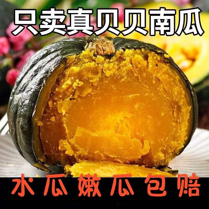 正宗贝贝南瓜板栗味贝贝小南瓜真老面新鲜正品婴儿辅食5斤/9斤