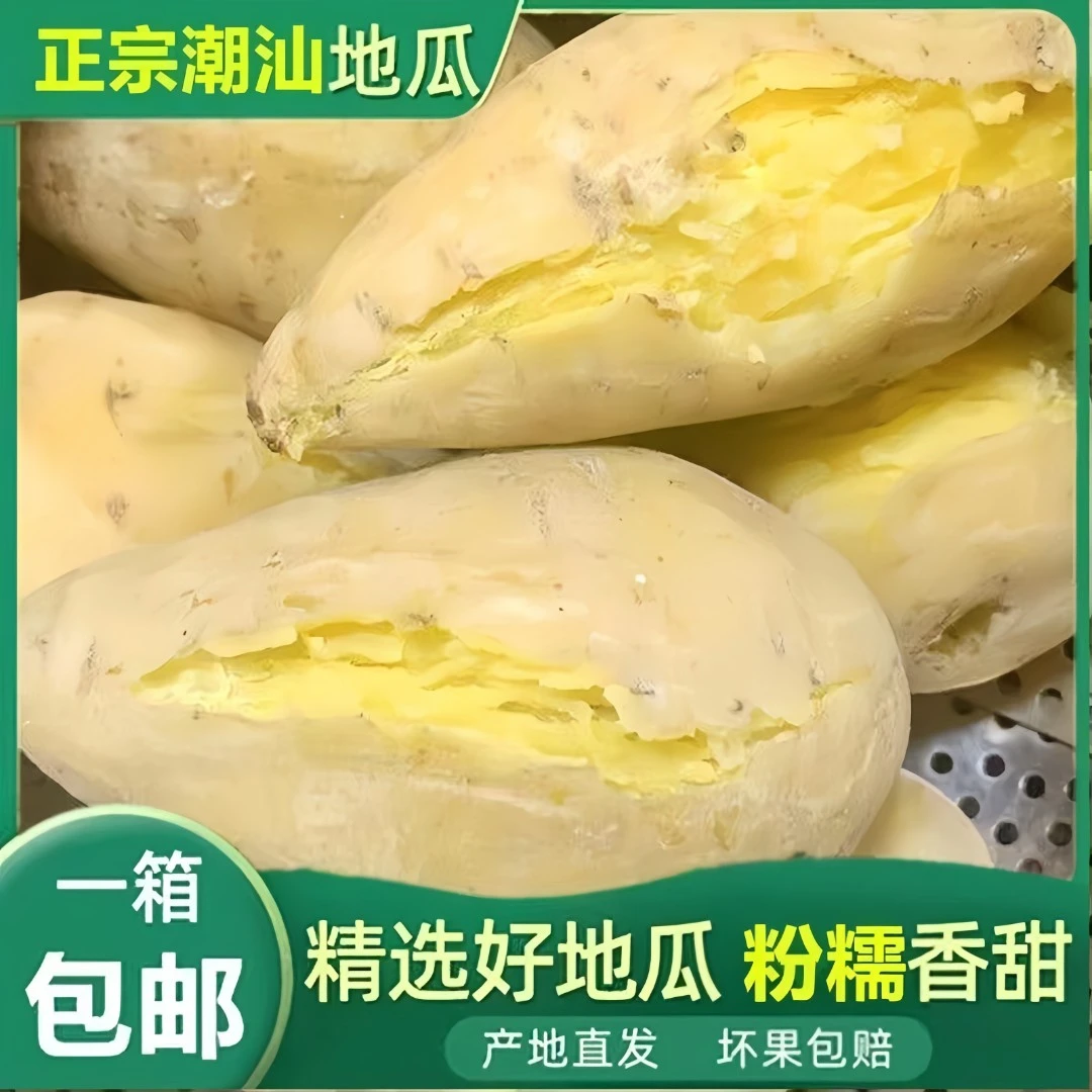 雪束潮汕正宗黄心板栗红薯香甜美味甘甜粉糯鸡蛋黄地瓜坏果包赔