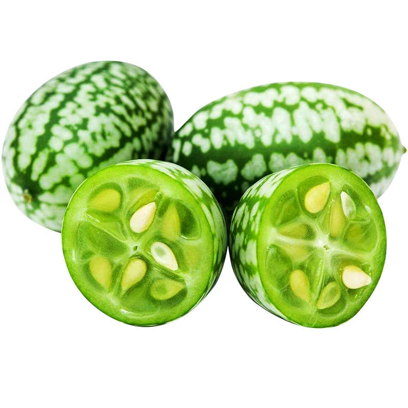 拇指西瓜种子西瓜种籽春季秋迷你小盆栽四季阳台西瓜水果蔬菜种孑