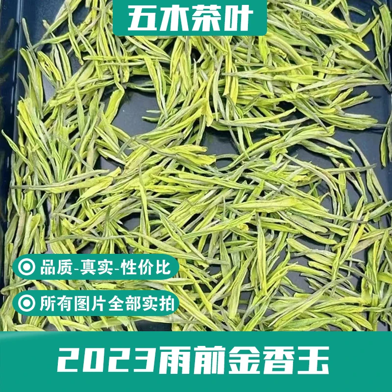 【厂长推荐】2023新茶 绿茶 金香玉茶叶（250g~500g）A5