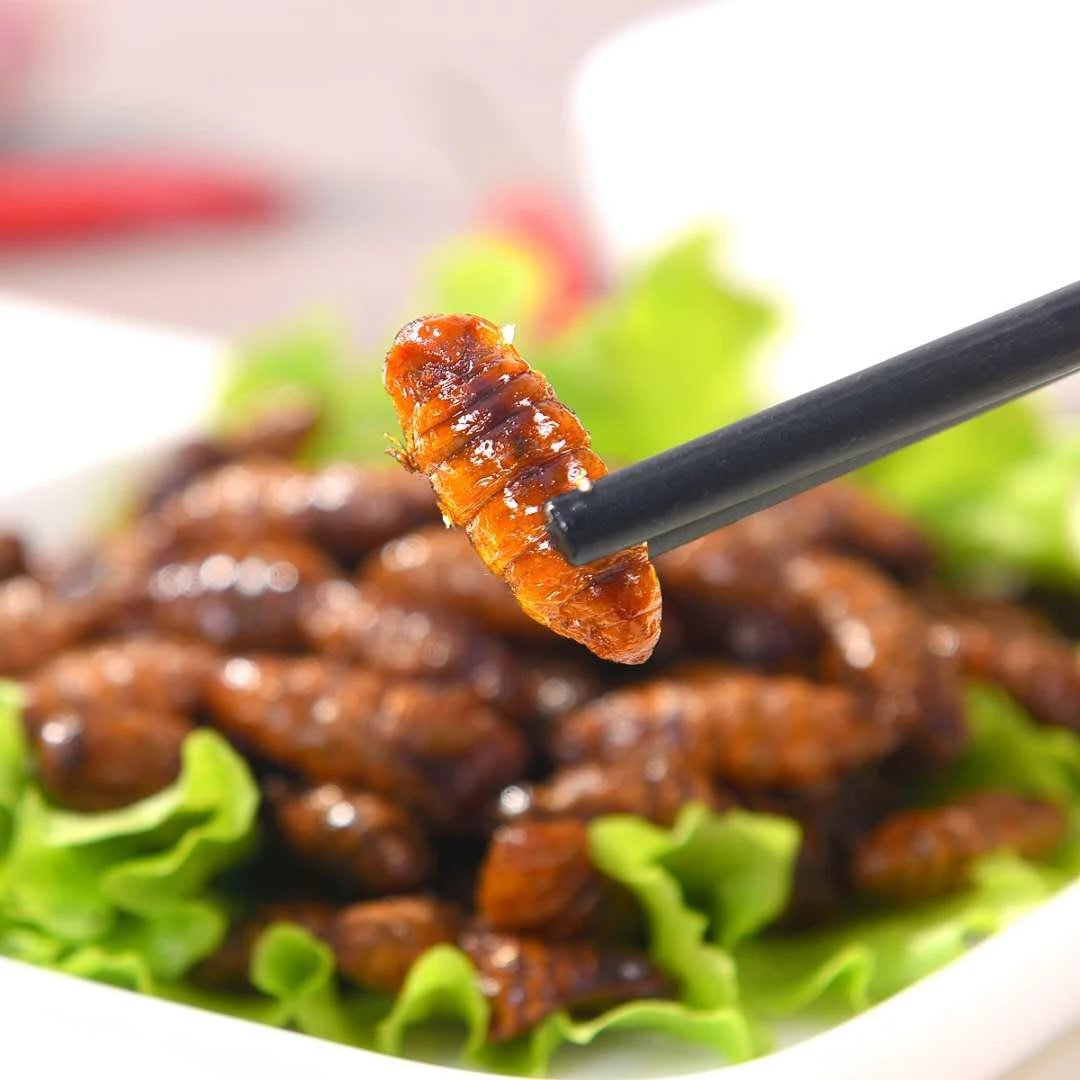 山东特产香酥蚕蛹麻辣水煮蚕蛹开袋即食下酒菜营养酥脆老少皆宜