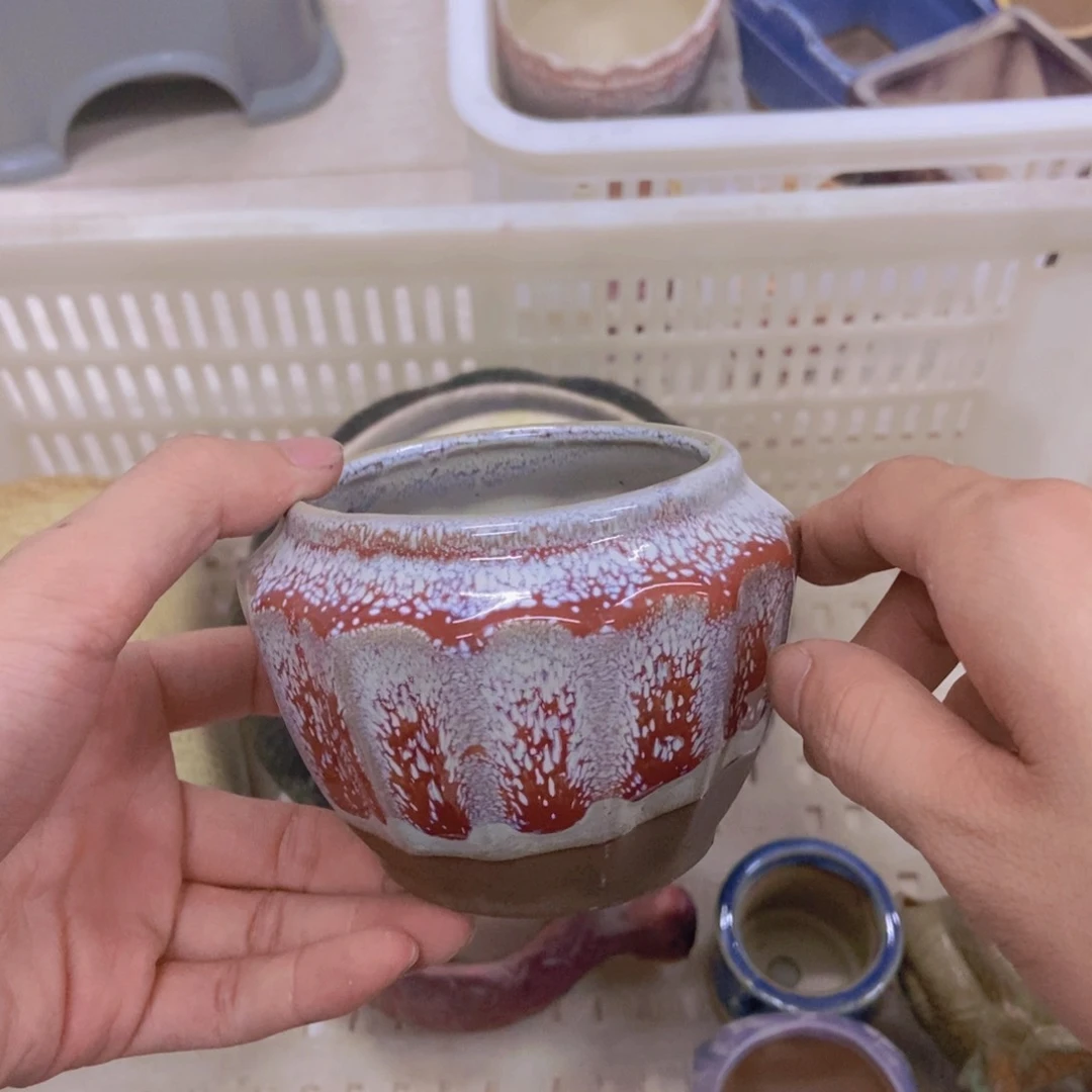 【闪购商品】红陶20CM（含）-50CM（不含）
