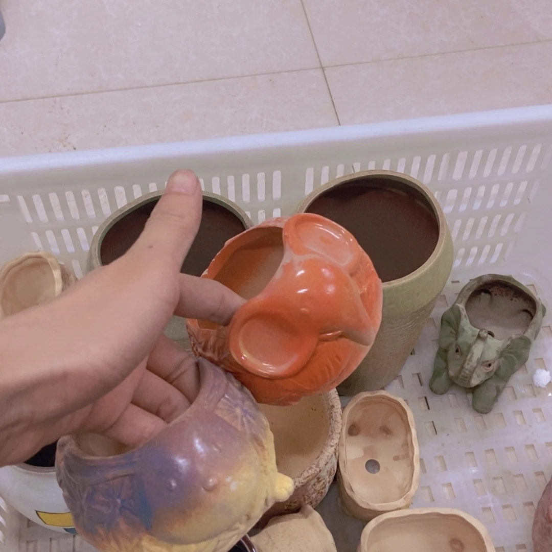 【闪购商品】红陶20CM（含）-50CM（不含）