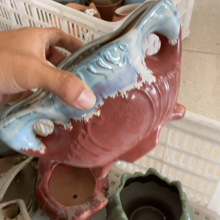 【闪购商品】红陶20CM（含）-50CM（不含）