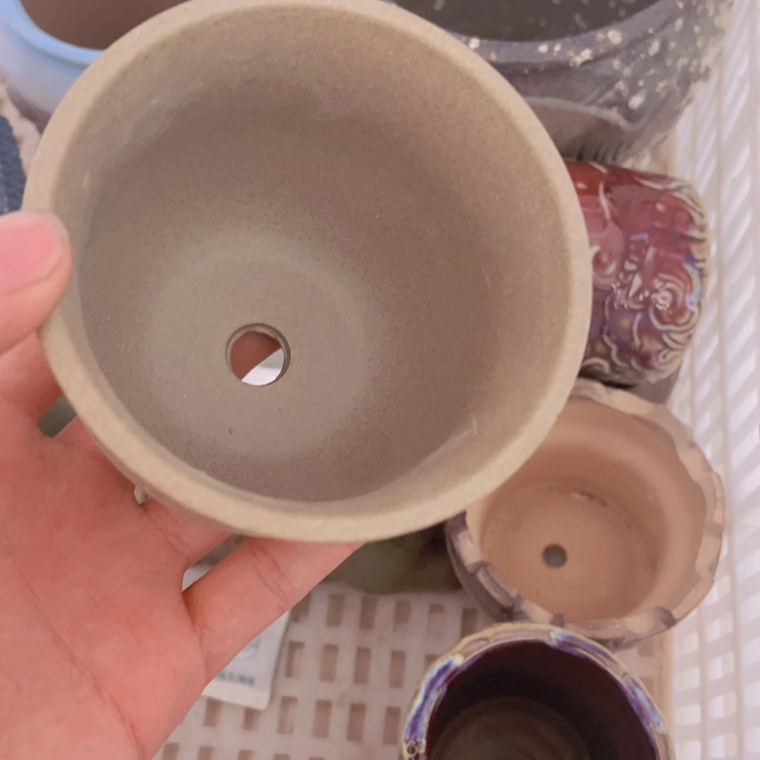 【闪购商品】红陶20CM（含）-50CM（不含）
