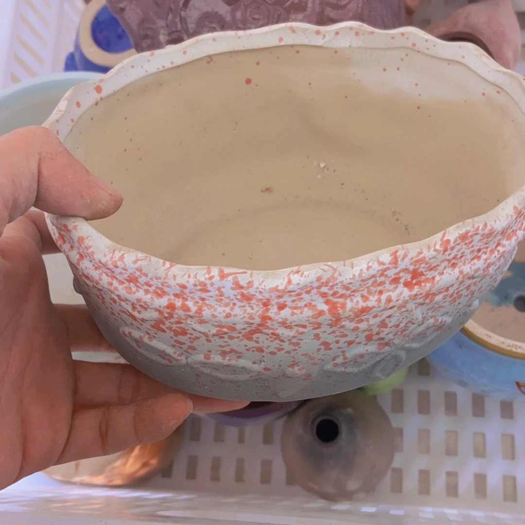 【闪购商品】红陶20CM（含）-50CM（不含）