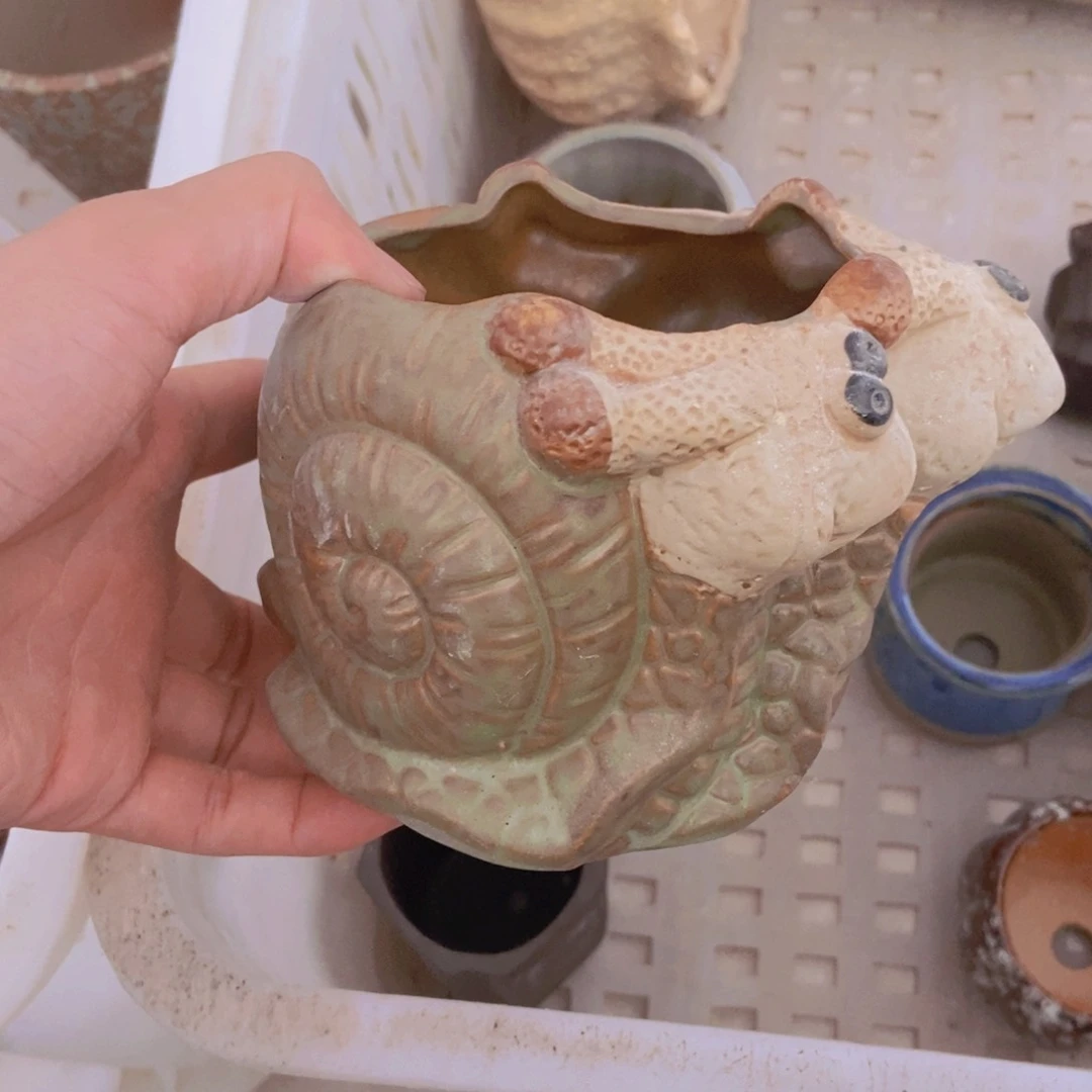 【闪购商品】红陶20CM（含）-50CM（不含）