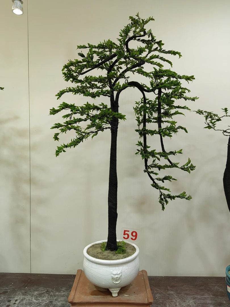 精美文人艺术造型黑骨茶（一物一拍）