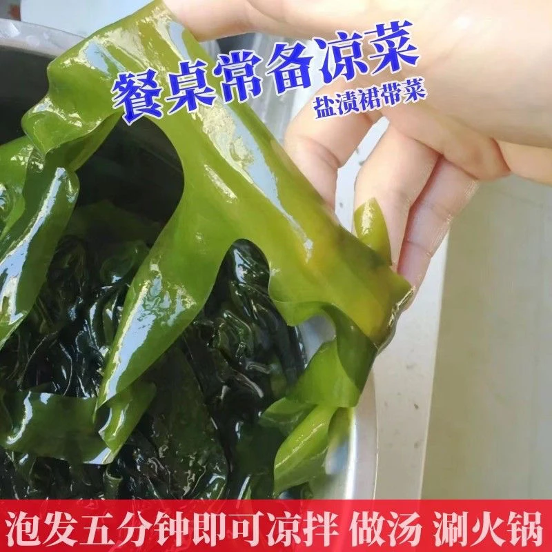 整箱5斤裙带菜当季新菜海带苗海带海菜海藻嫩叶凉拌菜大连海白菜