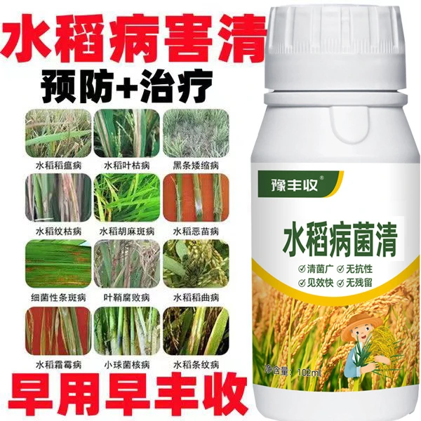 水稻病专治水稻杀菌剂茎腐病稻瘟病稻曲病纹枯病恶苗病白叶枯病