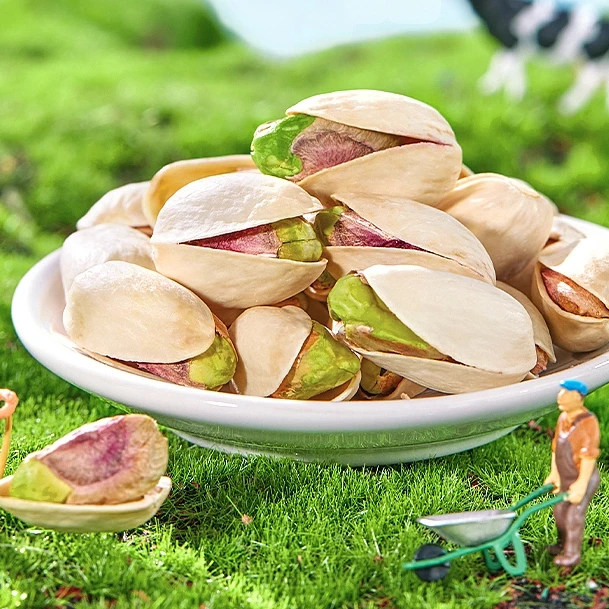 【年货精选】原色开心果新货特大颗粒袋装儿童孕妇零食坚果炒货饱满