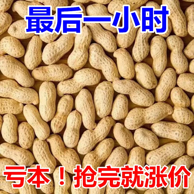 【今日特价】新货原味熟花生现钞现卖正宗铁锅柴火炒花生带壳红皮