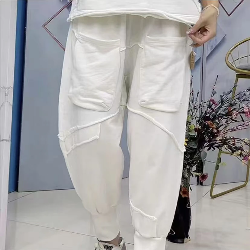 3010秋季新款韩范儿毛圈棉百搭哈伦裤