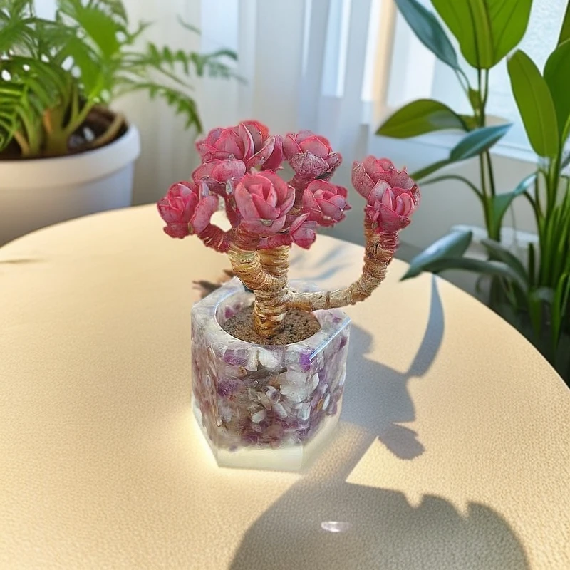 无土秀妍1颗(含六角紫晶花器