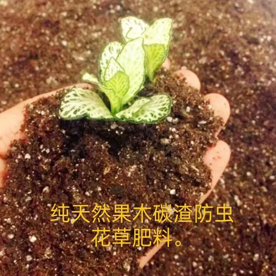 荔枝炭粉取暖炭碎渣纯天然木炭碎颗粒多肉种花肥料果木炭碎碳渣