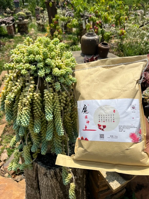 魔族神土-高端系列-多肉通用土5斤/包，一次买10包送1包