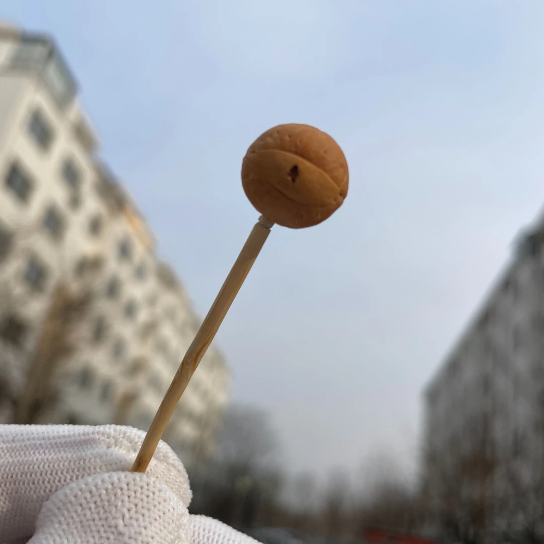 凤眼菩提酸枣核天然精品尼泊尔凤眼单籽，尺寸大小不一