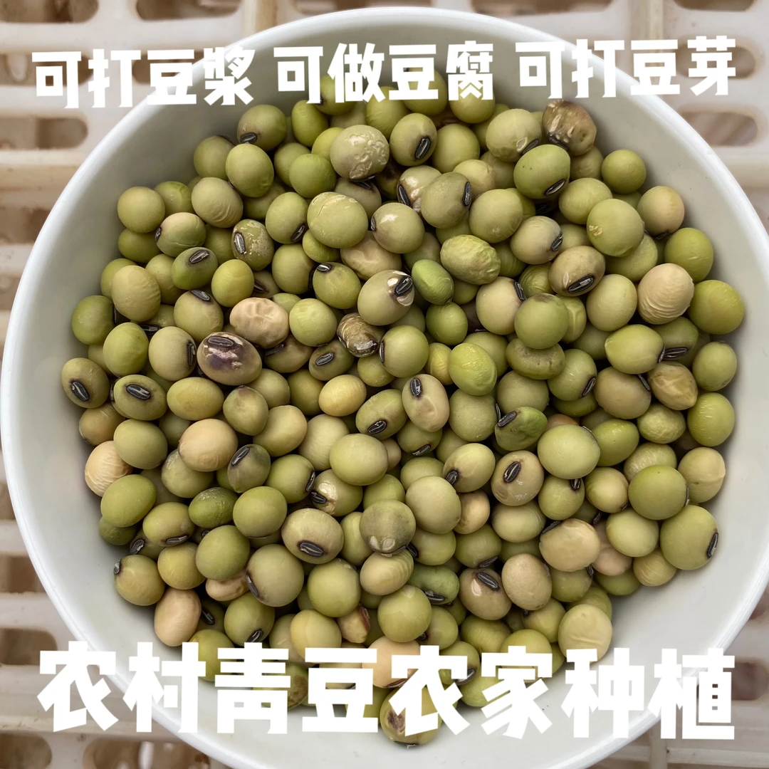 农村黄豆青豆新鲜农民种植能打豆浆能打豆芽能做豆腐