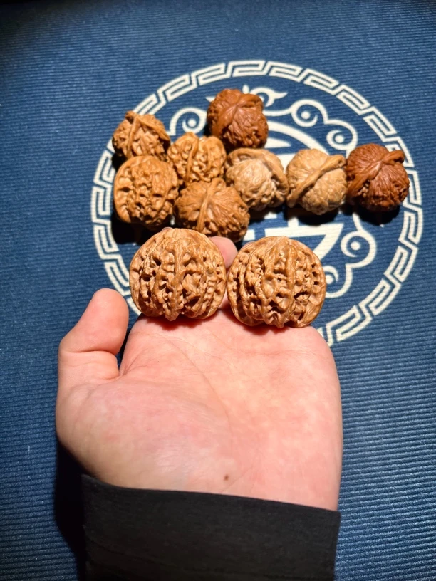 文玩核桃直播选货