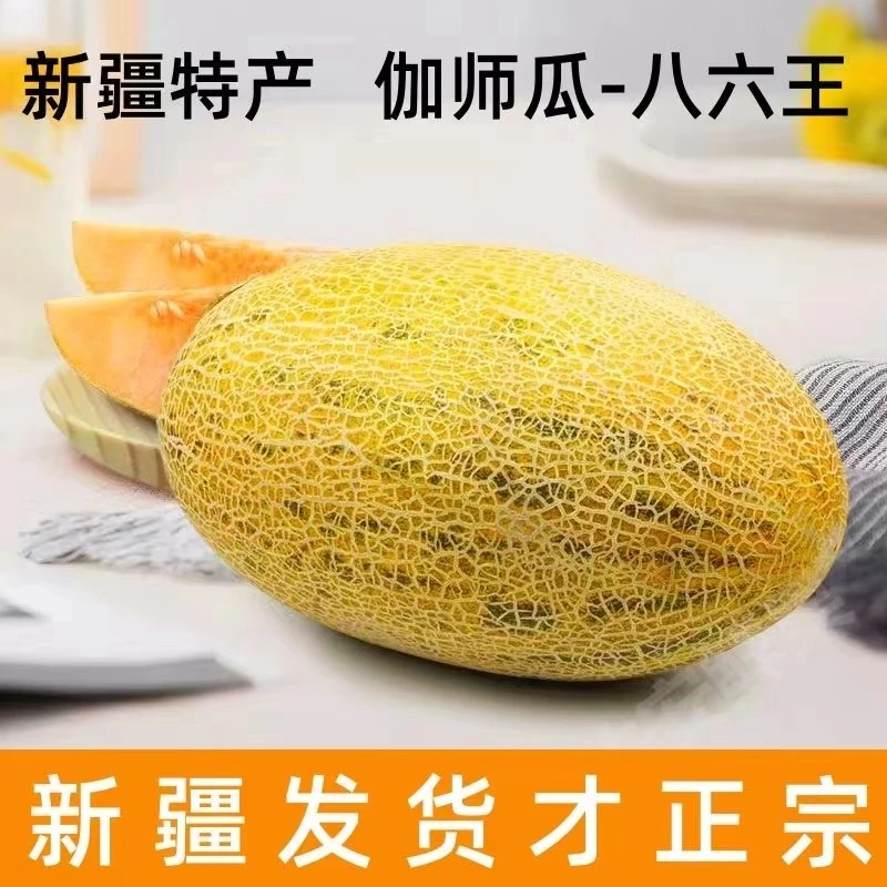 正宗伽师县·八六王应季伽师瓜果新疆直发脆甜爽口伽师瓜6-10斤