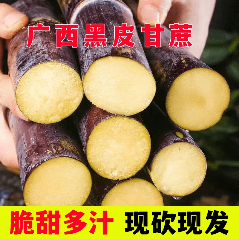 广西黑皮甘蔗当天砍当天发货净重5斤9斤