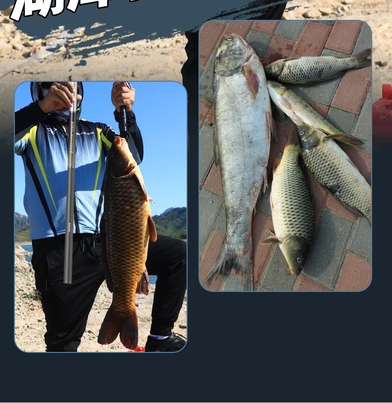 【钓友反馈】博大师鱼竿禧玛偌钓鱼竿手竿超轻超硬鲤鱼竿19调台钓竿