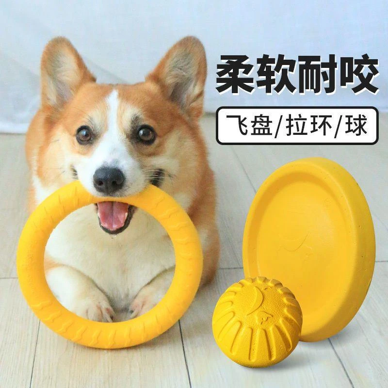 狗狗飞盘训犬玩具毛拉布拉多耐咬玩具互动环玩具球大中小型犬