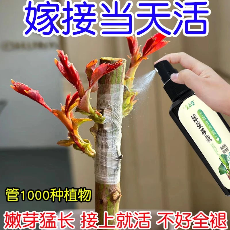 万能型植物嫁接促活液伤口愈合剂园艺绿植盆景植物嫁接月季果树用