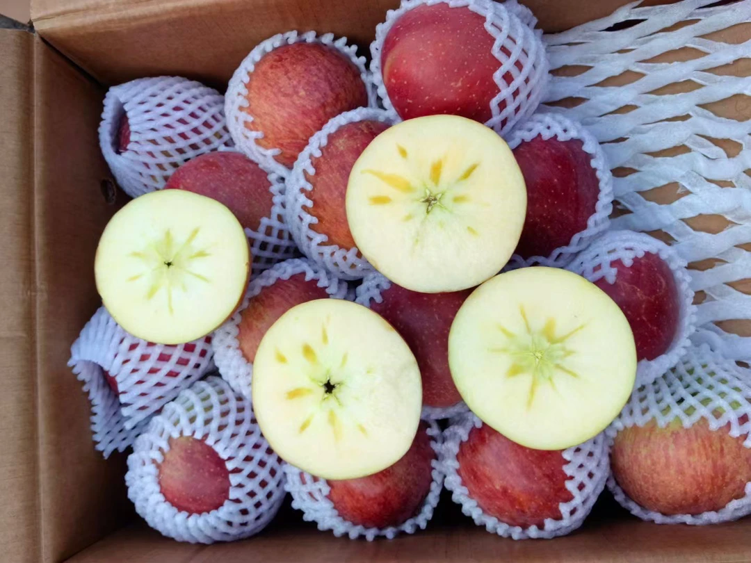 大凉山苹果2.8~3斤左右（直播价勿拍）