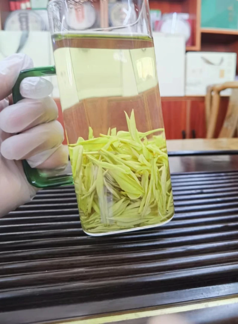 2025新茶奶白黄金芽040802款绿茶50g/250g/500g