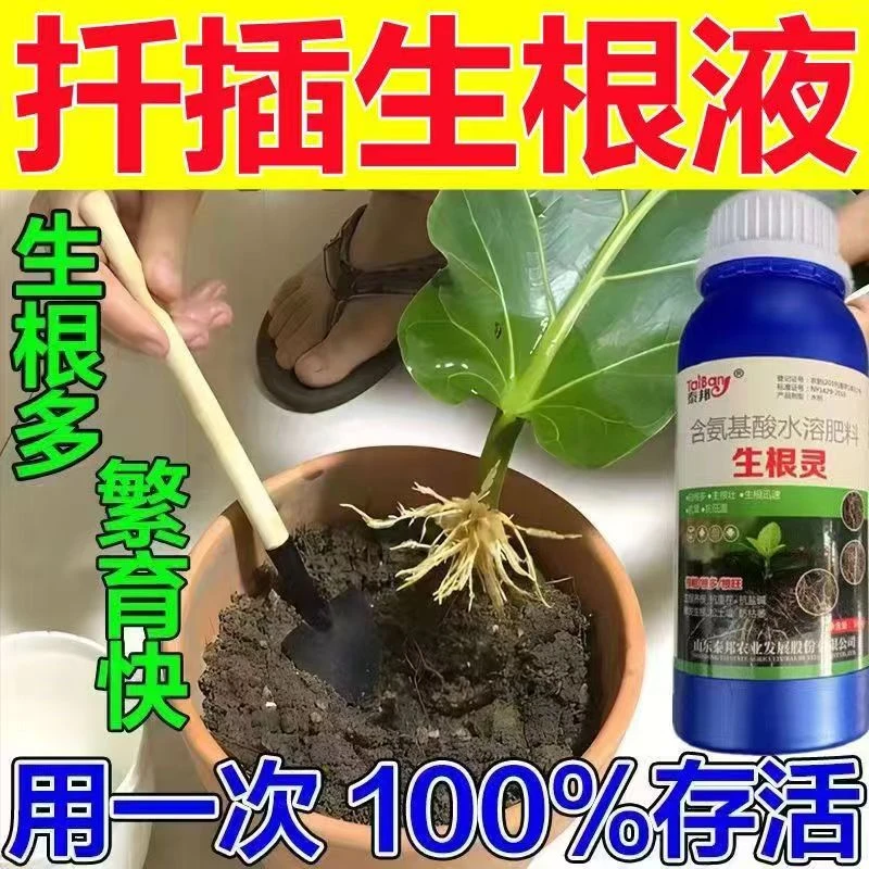 强力生根液【3天生根】植物扦插生根剂快速发根壮苗扦插移栽专用