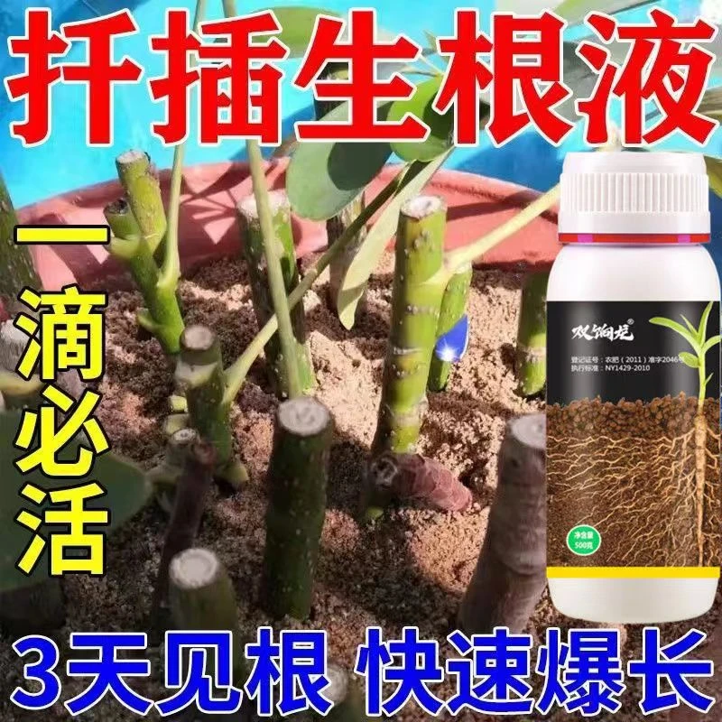 强力生根液【3天爆根】植物扦插生根剂快速发根壮苗扦插移栽专用