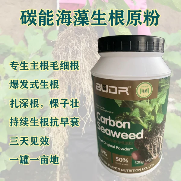 《老板娘推荐》生根原粉爆发式生根专生主根毛细根扎深根持续生根