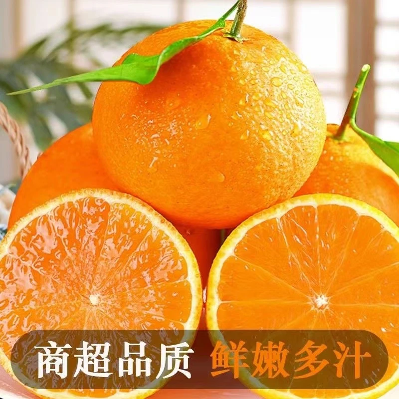 【现摘现发】四川爱媛38号果冻橙 现摘现发头茬鲜果 高品质水果香甜