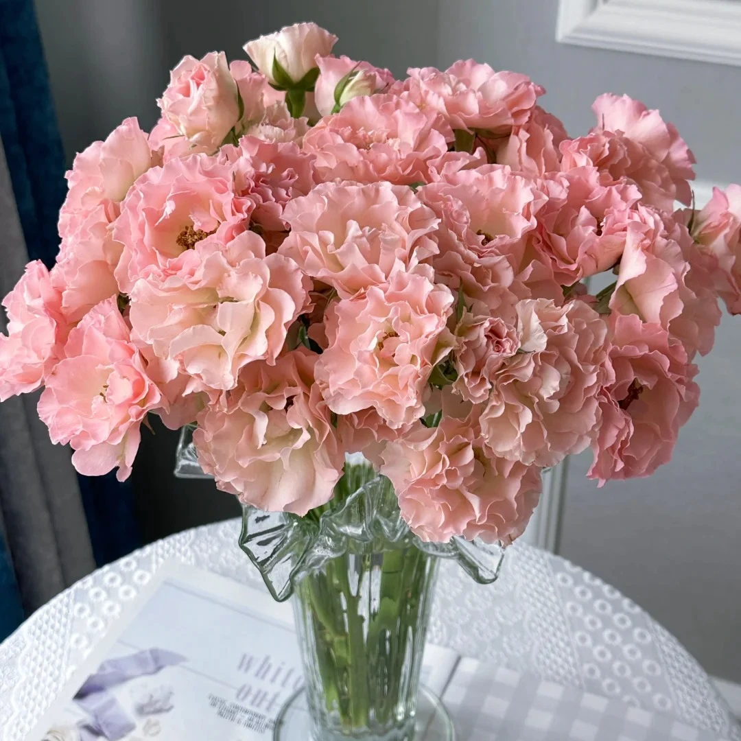 【多头玫 人鱼公主】任意4单鲜花只收运费10元 顺丰或德邦发货