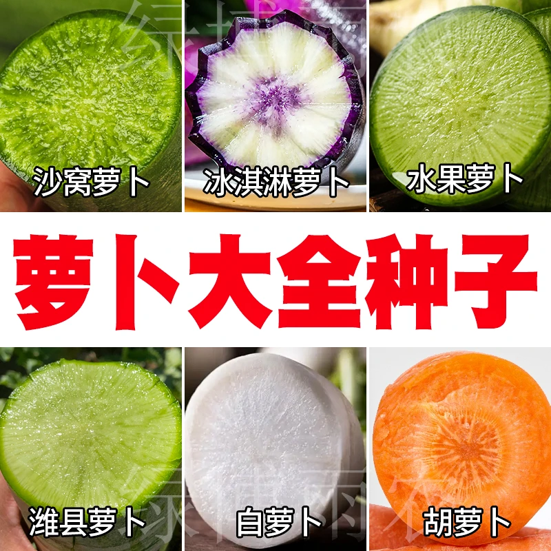 萝卜种籽大全 沙窝 水果 冰淇淋 潍县 萝卜 胡萝卜白萝卜蔬菜种孑