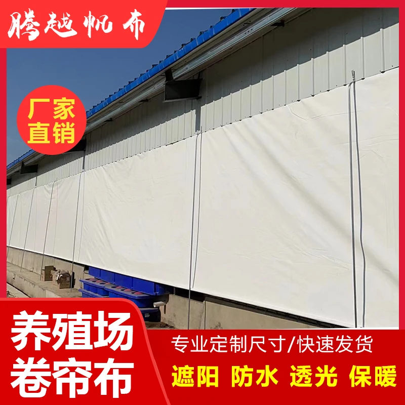 养殖场卷帘布加厚遮阳防寒防雨白色透光牛棚猪圈透光升降卷帘定做